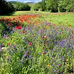 Domaine De Cascaret - Sleeps 10 * Montréal