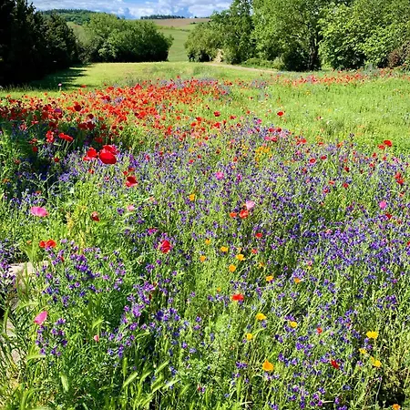 Domaine De Cascaret - Sleeps 10 * Montréal